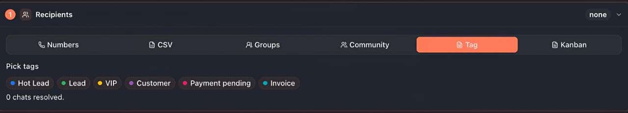 Recipients → Tags: toggle coloured tag chips and watch the resolved chat count